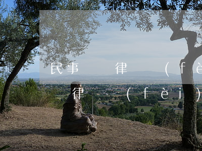 民事糾紛律師費(fèi)大概多少(民事糾紛律師費(fèi)多少錢)
