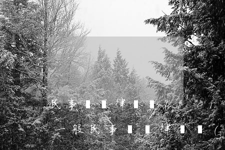 民事糾紛律師費(fèi)用一般是多少錢(一般民事訴訟律師費(fèi)用多少錢)