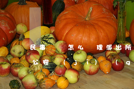 民事糾紛怎么處理派出所怎么處理(民事糾紛公安機(jī)關(guān)如何處理)