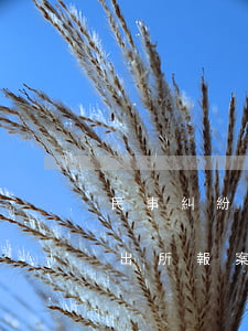 民事糾紛應(yīng)該去哪里報案(去派出所報案說是民事糾紛的怎么辦)