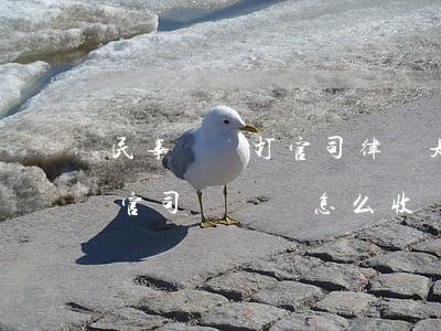 民事糾紛打官司律師是怎么收費的(請律師打官司訴訟費怎么收)