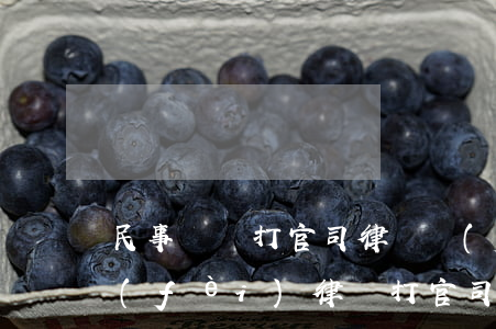 民事糾紛打官司律師費(fèi)怎么收費(fèi)(律師打官司一般怎么收費(fèi))