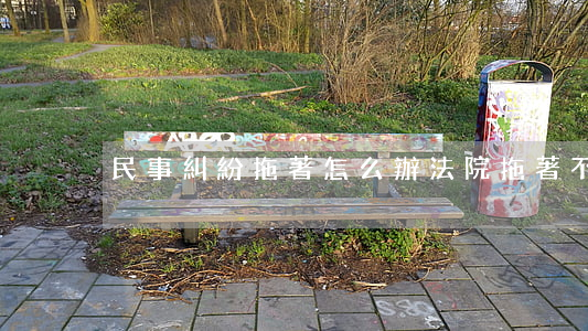 民事糾紛拖著怎么辦(法院拖著不辦怎么辦)