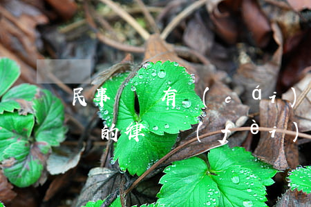 民事糾紛有財(cái)產(chǎn)糾紛的律師費(fèi)多少錢(房屋糾紛請(qǐng)律師費(fèi)一般多少錢)