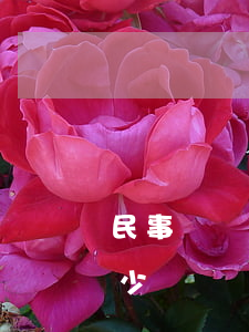 民事糾紛案律師費多少錢(民事訴訟律師費多少錢?)
