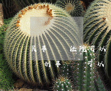 民事糾紛法院可以強(qiáng)制傳喚嗎(刑事傳喚可以強(qiáng)制傳喚)