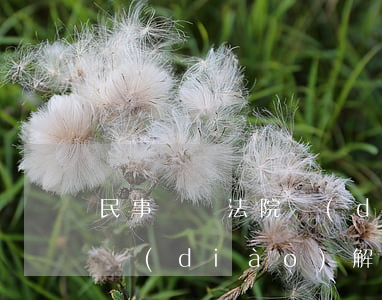 民事糾紛法院調(diào)解可以不去嗎(調(diào)解被告可以不去嗎)