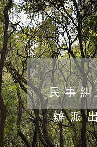 民事糾紛派出所所長(zhǎng)拖著不辦(派出所遲遲不處理我的案件怎么辦)