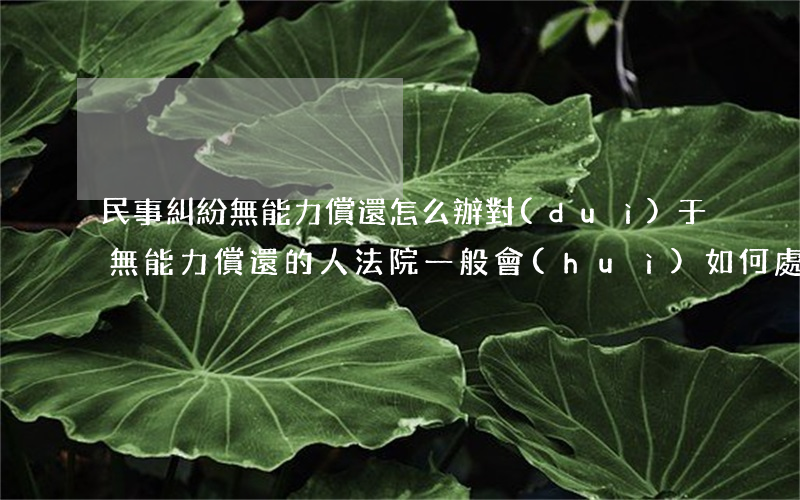 民事糾紛無能力償還怎么辦(對(duì)于無能力償還的人法院一般會(huì)如何處理)