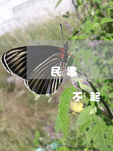 民事糾紛被起訴會(huì)影響子女政審嗎(不起訴影響子女政審嗎)