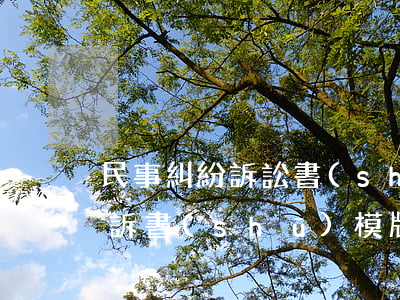 民事糾紛訴訟書(shū)模板(民事訴訟起訴書(shū)模版)