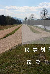 民事糾紛訴訟費(fèi)多少(民事糾紛訴訟費(fèi)收費(fèi)標(biāo)準(zhǔn))