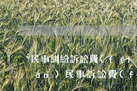 民事糾紛訴訟費(fèi)是多少錢(qián)(民事訴訟費(fèi)用標(biāo)準(zhǔn),民事訴訟費(fèi)是多少)