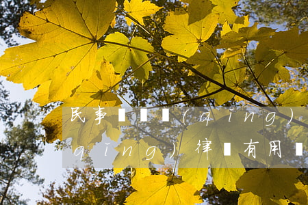 民事糾紛請(qǐng)律師(民事糾紛請(qǐng)律師有用嗎)