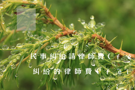 民事糾紛請律師費(fèi)用多少錢(民事糾紛的律師費(fèi)用收費(fèi)標(biāo)準(zhǔn))