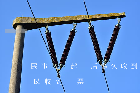民事糾紛起訴后多久收到傳票(起訴后多久可以收到傳票)
