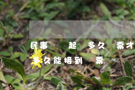民事糾紛起訴多久傳票才下來(民事訴訟被告多久能接到傳票)