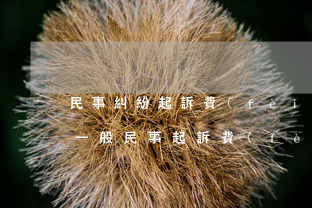 民事糾紛起訴費(fèi)一般是多少錢啊(一般民事起訴費(fèi)用大概是多少)