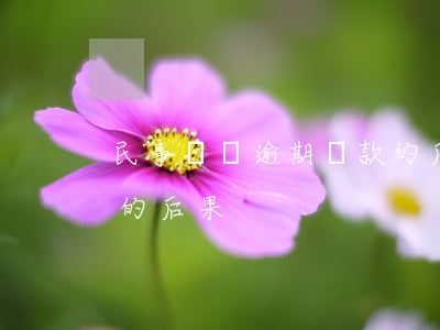 民事糾紛逾期還款的后果(民事糾紛逾期還款的后果)