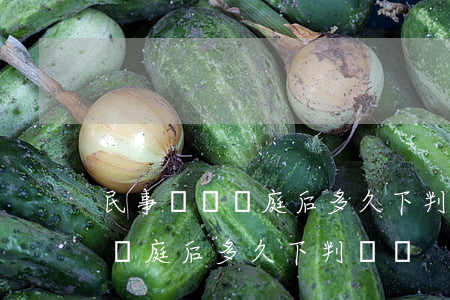 民事糾紛開庭后多久下判決書(民事糾紛一般開庭后多久下判決書)