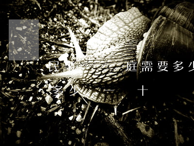 民事糾紛開庭需要多少錢(民事糾紛開庭需要多少錢一賠十)