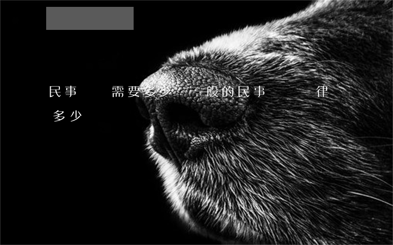 民事糾紛需要多少錢(一般的民事糾紛請律師多少錢)