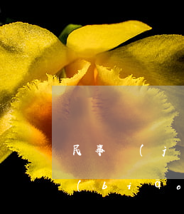 民事經(jīng)濟(jì)糾紛立案標(biāo)準(zhǔn)(民事經(jīng)濟(jì)糾紛多少錢可以立案)