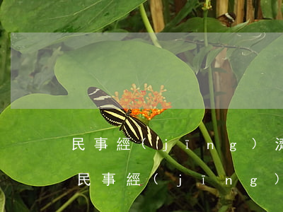 民事經(jīng)濟糾紛多少錢可以立案(民事經(jīng)濟糾紛多少錢可以立案)