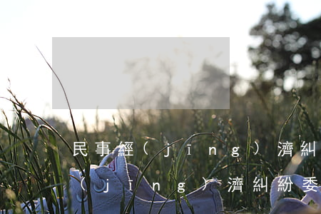 民事經(jīng)濟糾紛委托書怎么寫(經(jīng)濟糾紛委托書范本)