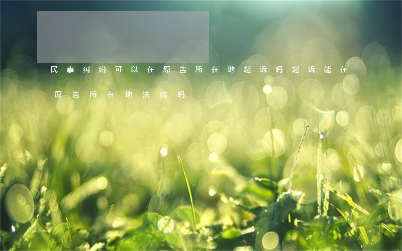民事纠纷可以在原告所在地起诉吗(起诉能在原告所在地法院吗)