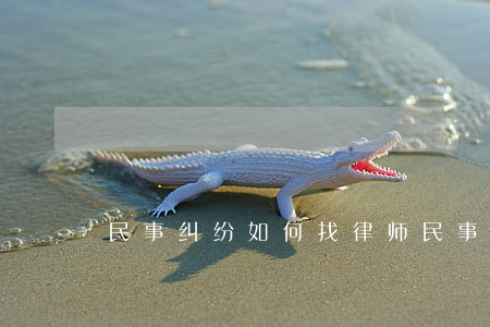 民事纠纷如何找律师(民事纠纷如何找律师)