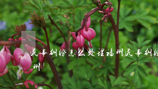民事纠纷怎么处理福州(民事纠纷怎么处理福州)