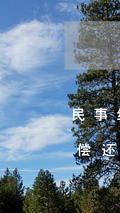 民事纠纷欠债无力偿还怎么办(个人欠债无力偿还最好办法)