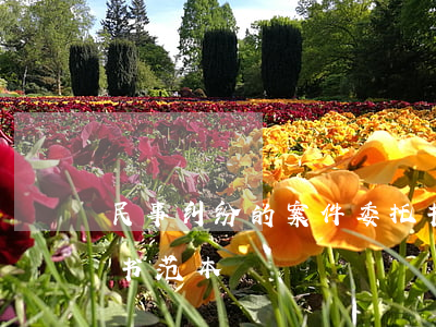 民事纠纷的案件委托书怎么写(民事案件委托书范本)
