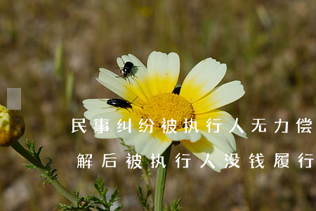 民事纠纷被执行人无力偿还想调解-法院调解后被执行人没钱履行怎么办