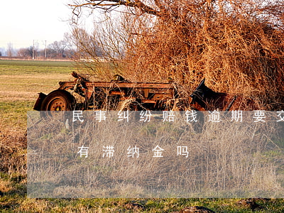 民事纠纷赔钱逾期要交滞纳金吗-民事赔偿有滞纳金吗