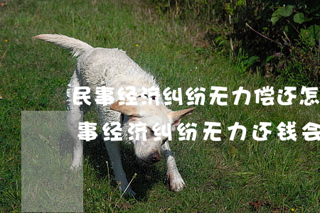 民事经济纠纷无力偿还怎么办会坐牢吗-民事经济纠纷无力还钱会怎样