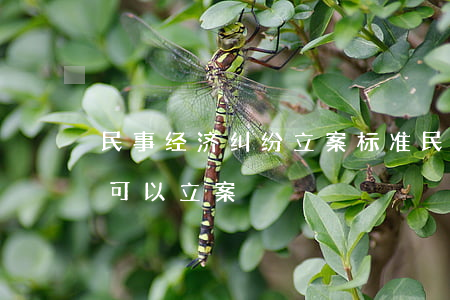 民事经济纠纷立案标准(民事经济纠纷多少钱可以立案)