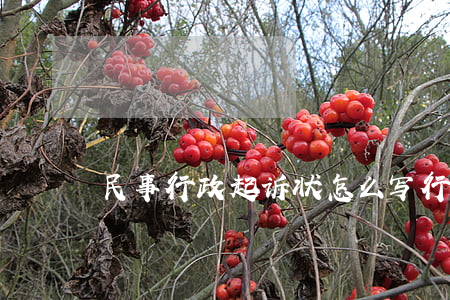 民事行政起诉状怎么写(行政起诉状怎么写?)