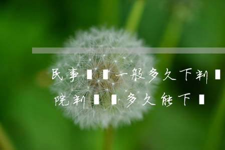 民事訴訟一般多久下判決書(民事糾紛一般法院判決書多久能下來)