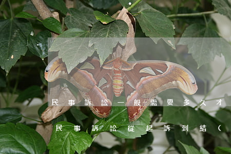 民事訴訟一般需要多久才能結(jié)案(民事訴訟從起訴到結(jié)案需要多久)