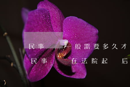 民事訴訟一般需要多久才能開(kāi)庭(民事糾紛在法院起訴后多久必須開(kāi)庭)