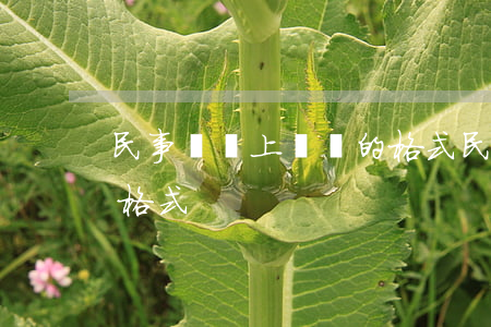 民事訴訟上訴狀的格式(民事訴訟法起訴狀的格式)