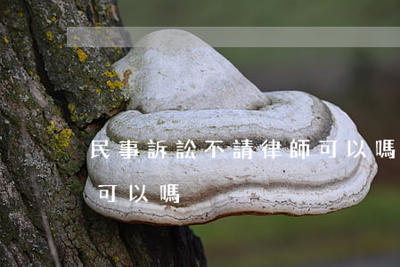 民事訴訟不請律師可以嗎(民事訴訟不請律師可以嗎)