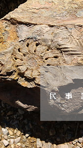 民事訴訟中合議庭是如何組成的