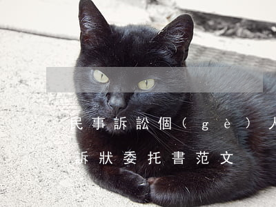 民事訴訟個(gè)人委托書怎么寫(民事起訴狀委托書范文)