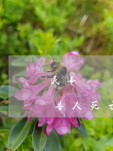 民事訴訟原告死亡可以起訴嗎(民事訴訟中被告人死亡)