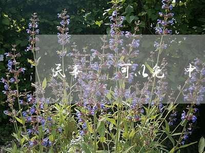 民事訴訟可以免費申請法律援助嗎