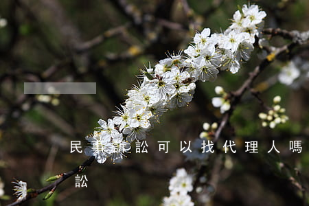 民事訴訟可以找代理人嗎(哪些人可以代理訴訟)