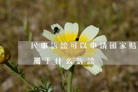 民事訴訟可以申請國家賠償嗎(國家賠償訴訟屬于什么訴訟)